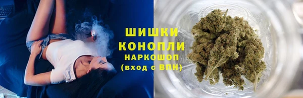 соль ск Арсеньев