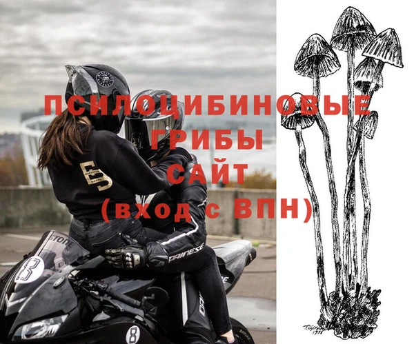 соль ск Арсеньев
