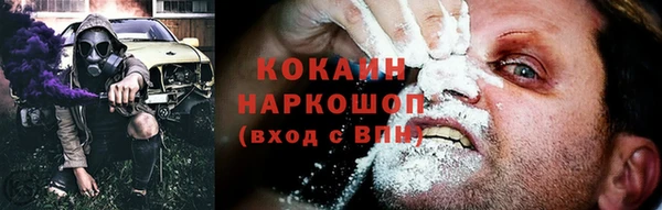 соль ск Арсеньев